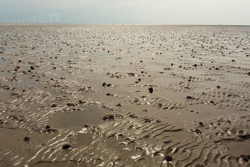 Wadden Sea in the North Sea
