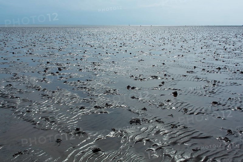 Wadden Sea in the North Sea
