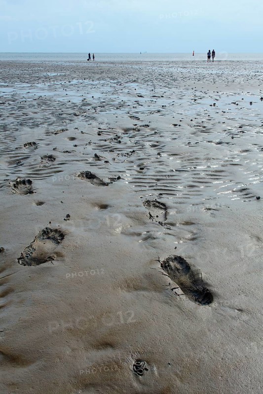 Wadden Sea in the North Sea