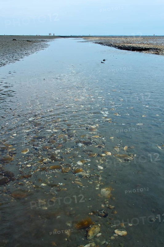 Wadden Sea in the North Sea
