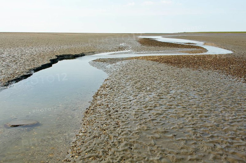 Wadden Sea in the North Sea