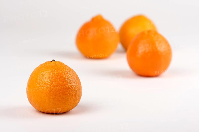 Clementine oranges on a white background