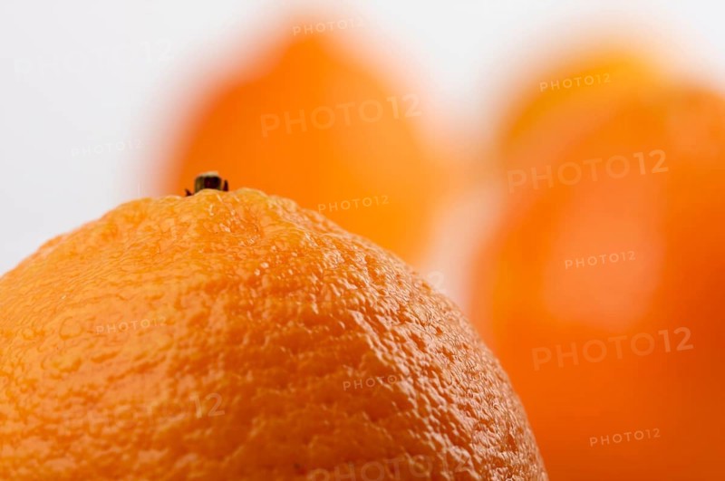 Clementine oranges on a white background