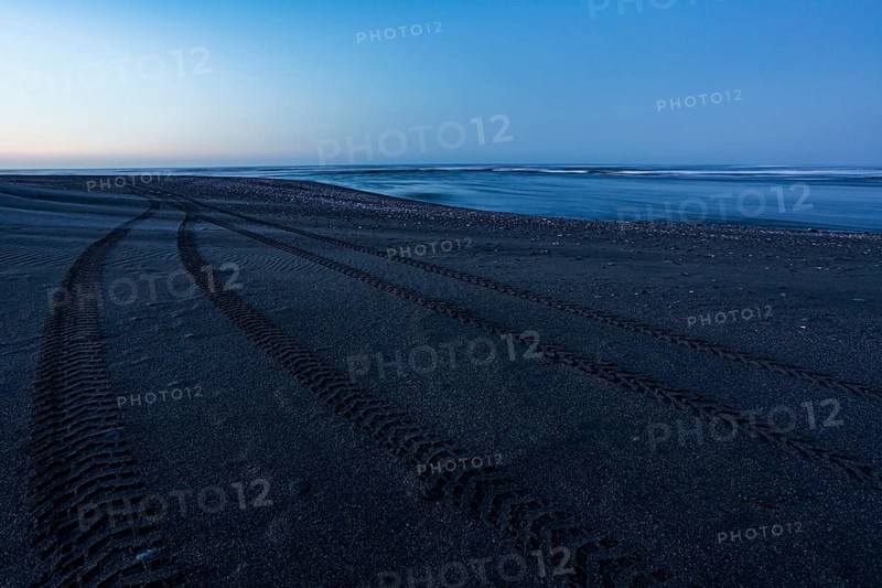 Tracks at beach