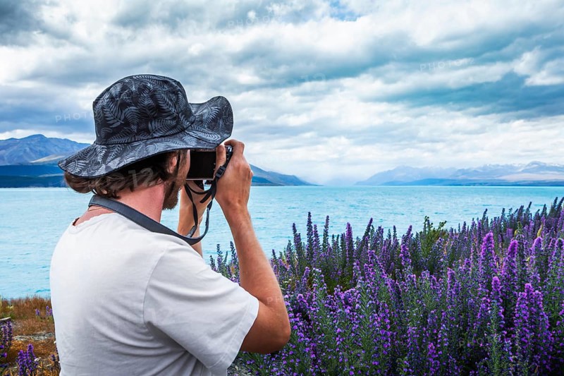 Guy with camera at a field of lupins (disambiguation)