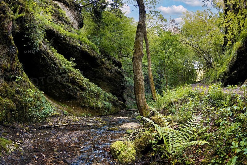 Primeval landscape in the Leidinghofer valley