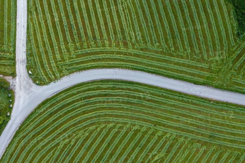 Crossroads with freshly mown fields