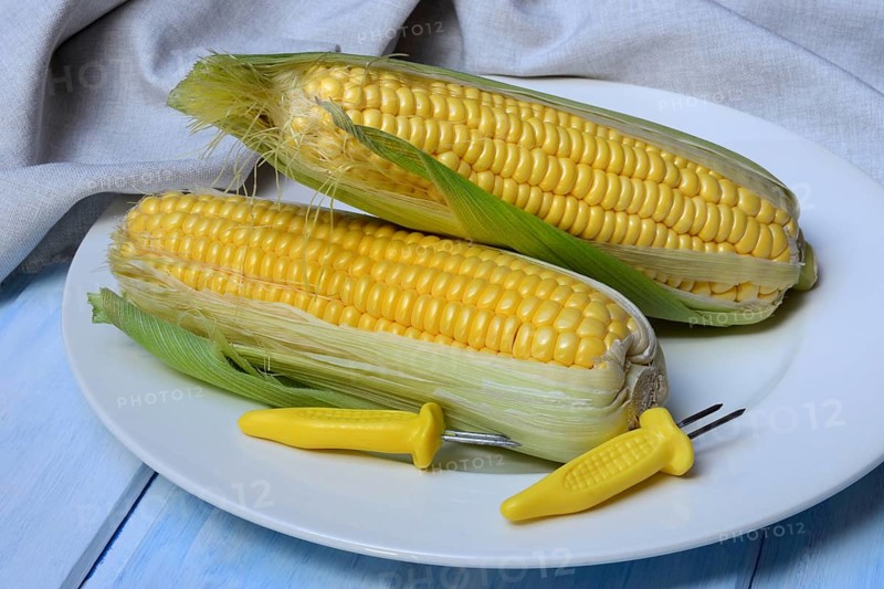 Corn corn cob and corn cob holder on plate