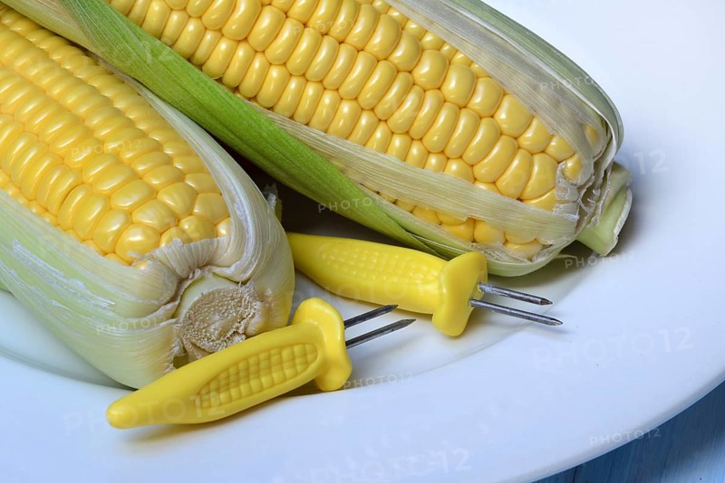 Corn corn cob and corn cob holder on plate