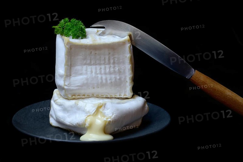 French soft cheese