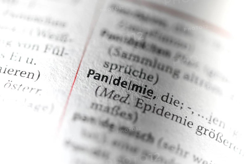 Entry of the term pandemic in the German Duden for spelling
