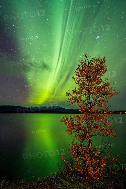 Northern lights above lake Tornetraesk