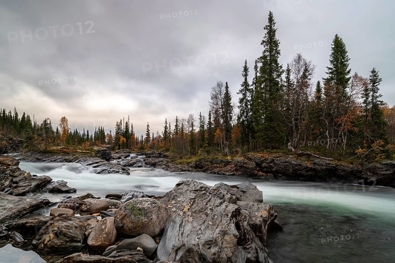 River Gauste