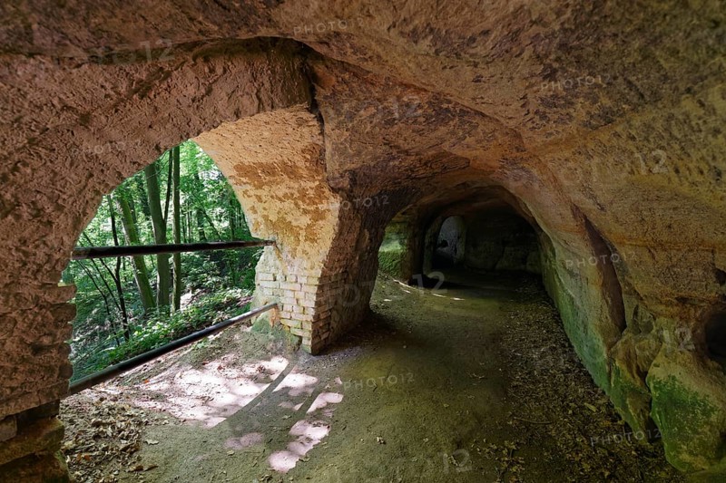 Lion pit