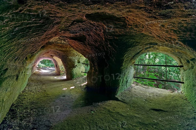 Lion pit