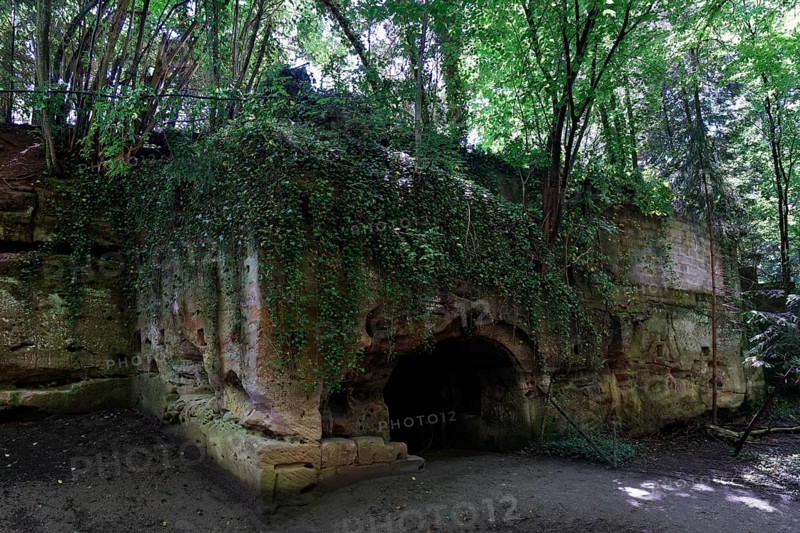 Lion pit