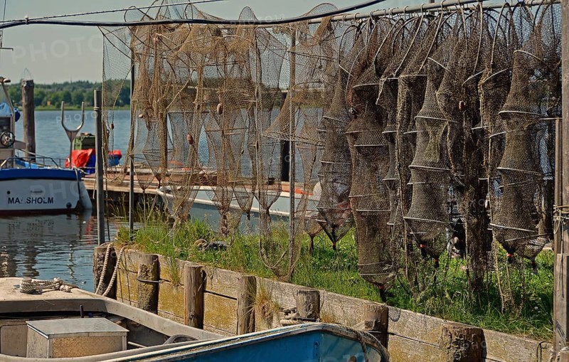 Fish traps
