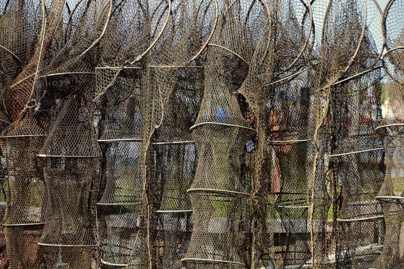 Fish traps