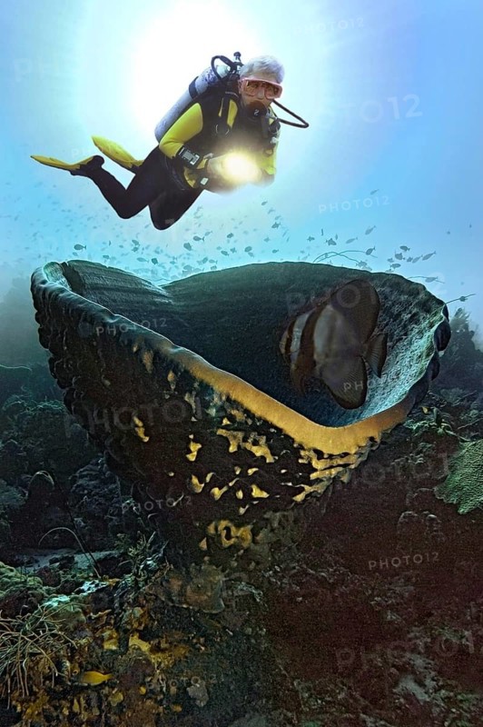 Photomontage