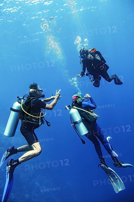Divers discussing with dive guide while surfacing