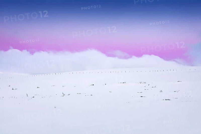 Winter landscape