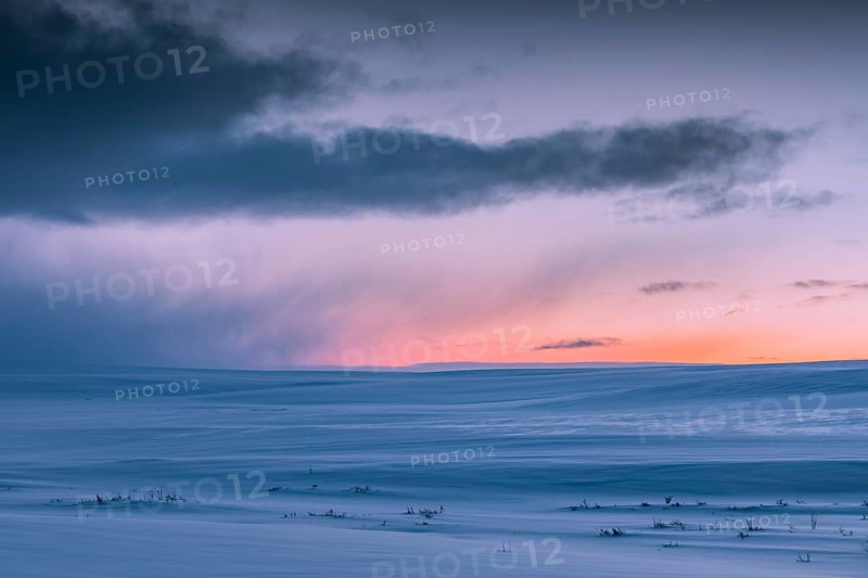 Winter landscape
