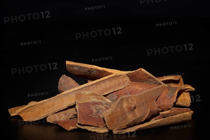 Chinese cinnamon (Cinnamomum cassia) bark