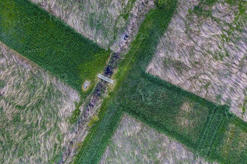 Cross of reeds