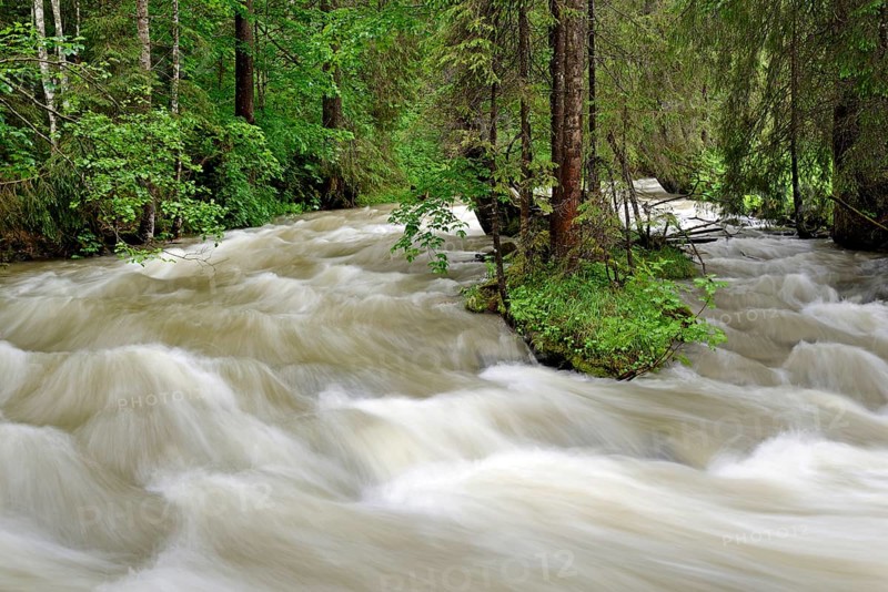 Schwarzwasserbach