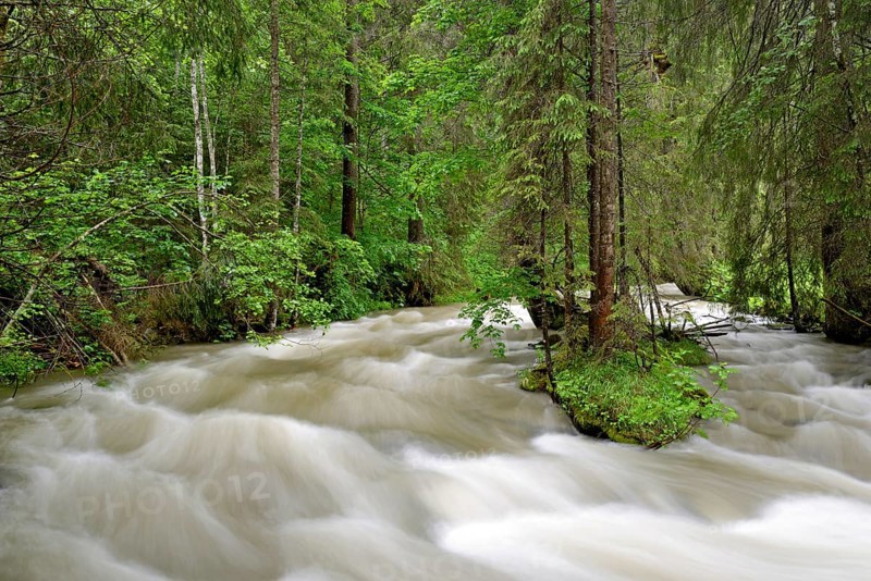 Schwarzwasserbach