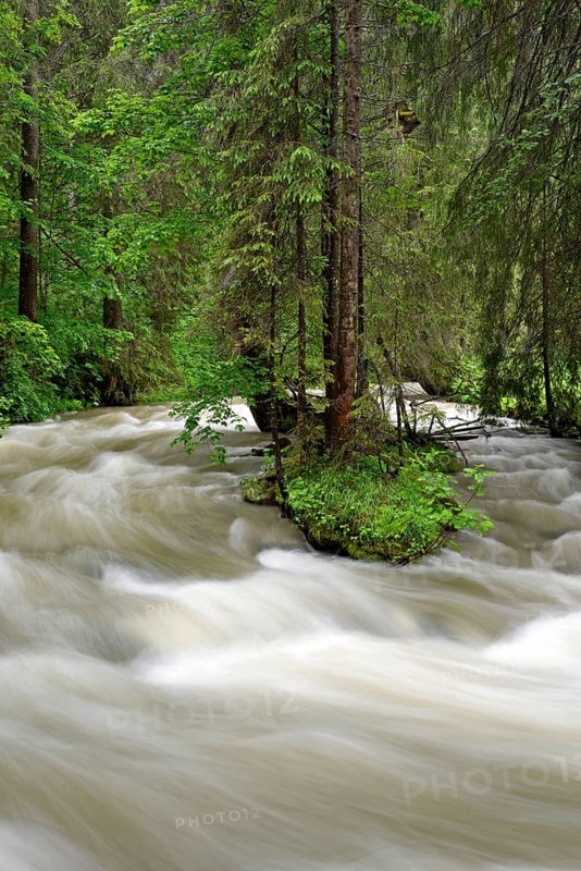 Schwarzwasserbach