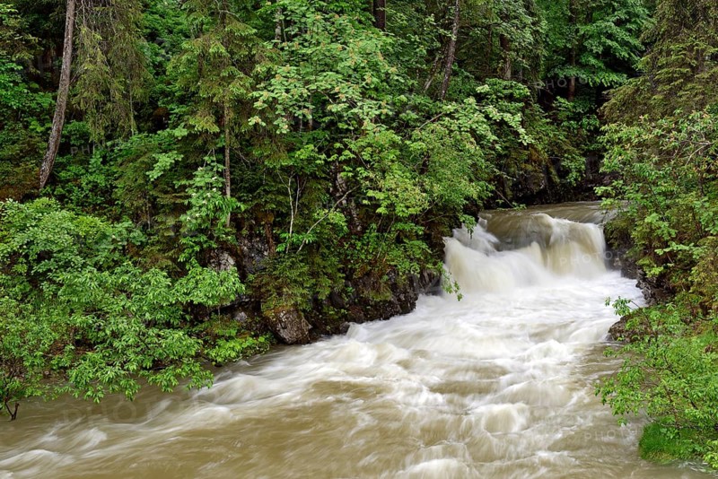 Schwarzwasserbach