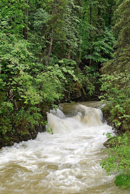 Schwarzwasserbach