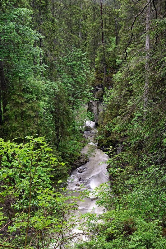 Schwarzwasserbach