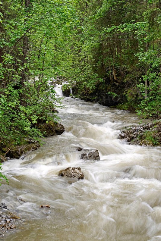 Schwarzwasserbach