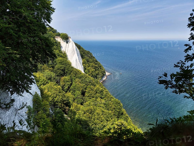 Chalk cliffs with beech forest on Baltic Sea coast