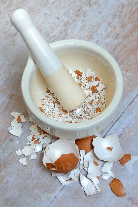 Broken eggshells crushed with mortar