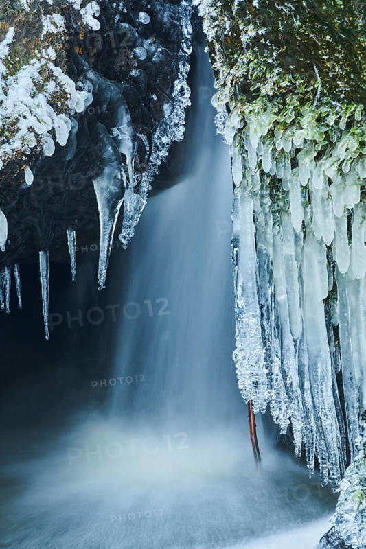 Icicles on the bank