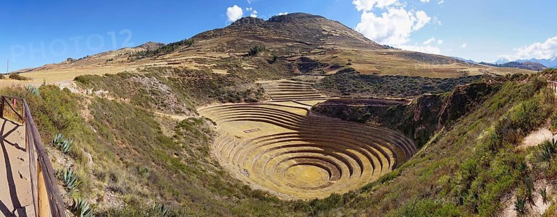 Moray