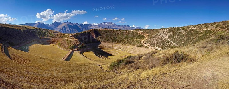 Moray