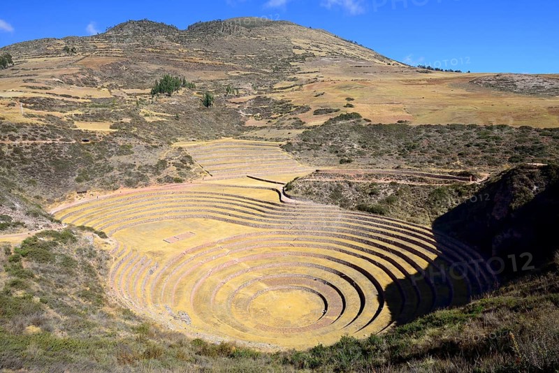 Moray