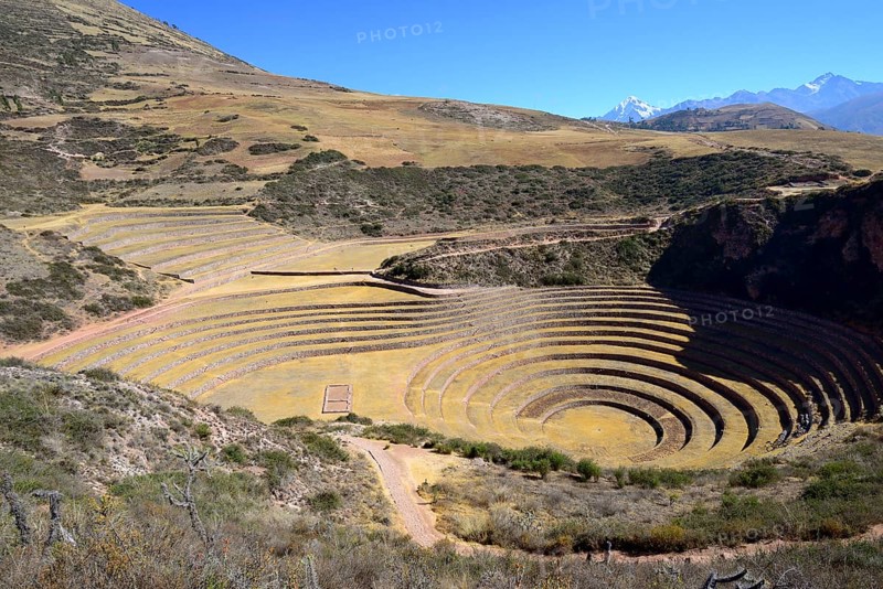 Moray