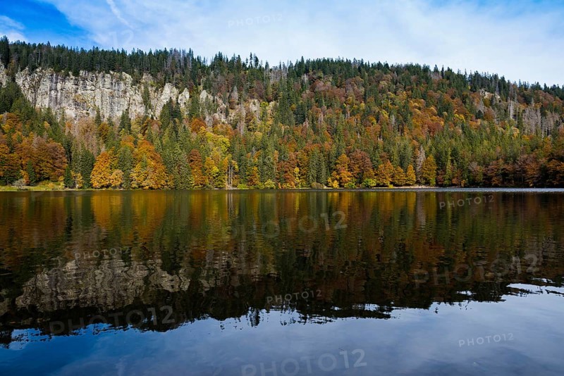Autumn forest with reflection
