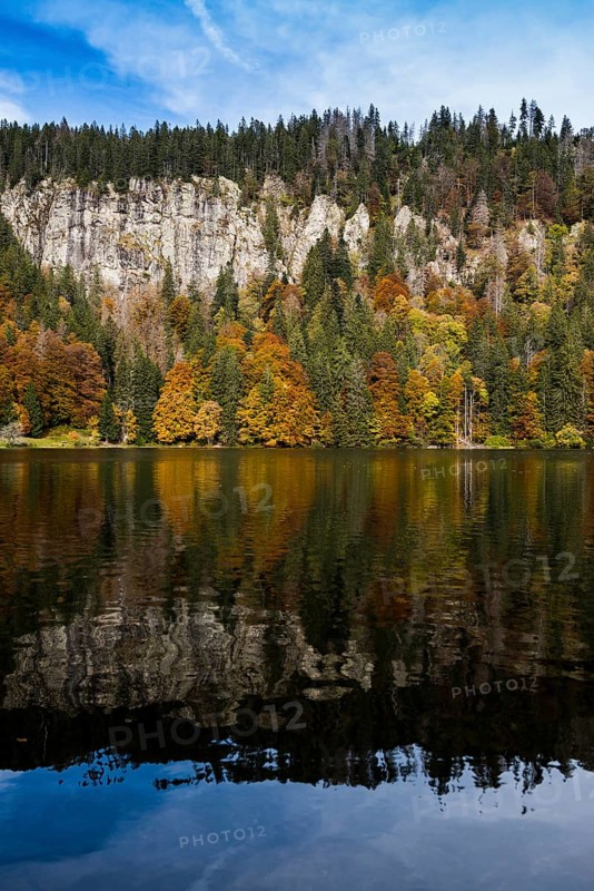 Autumn forest with reflection