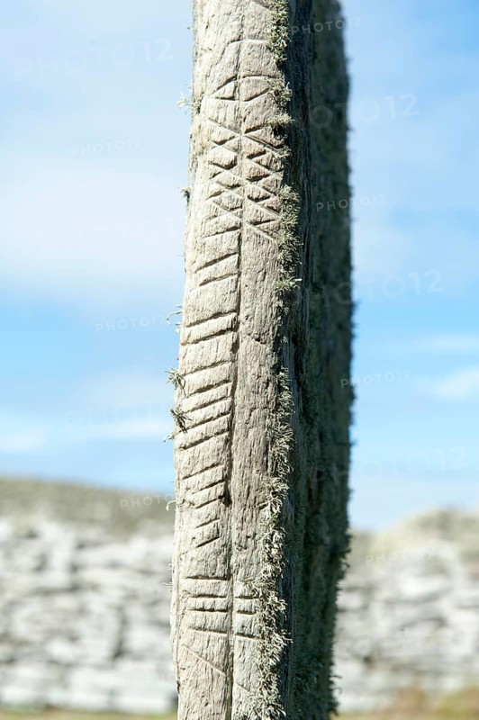 Pictish symbol stone