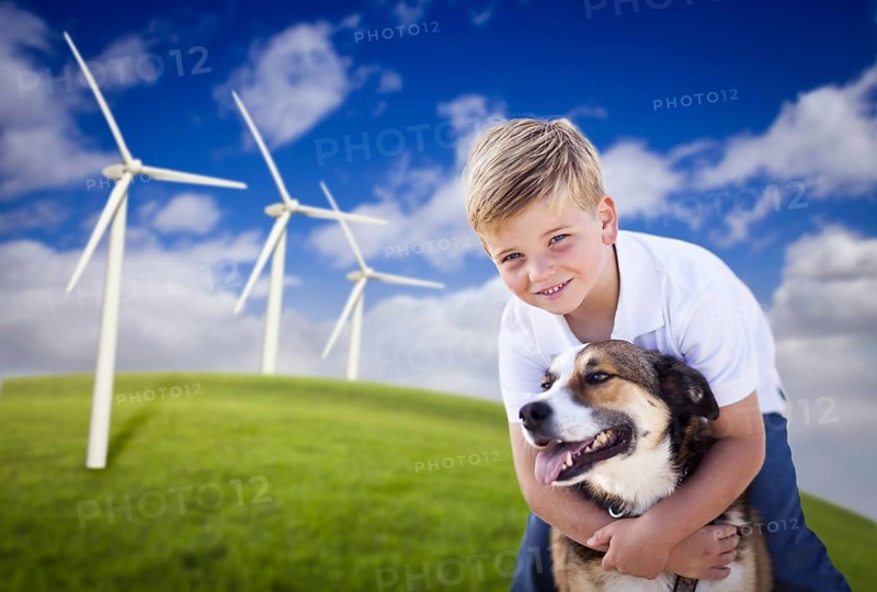 Handsome young blue eyed boy and dog playing near wind turbines and grass field