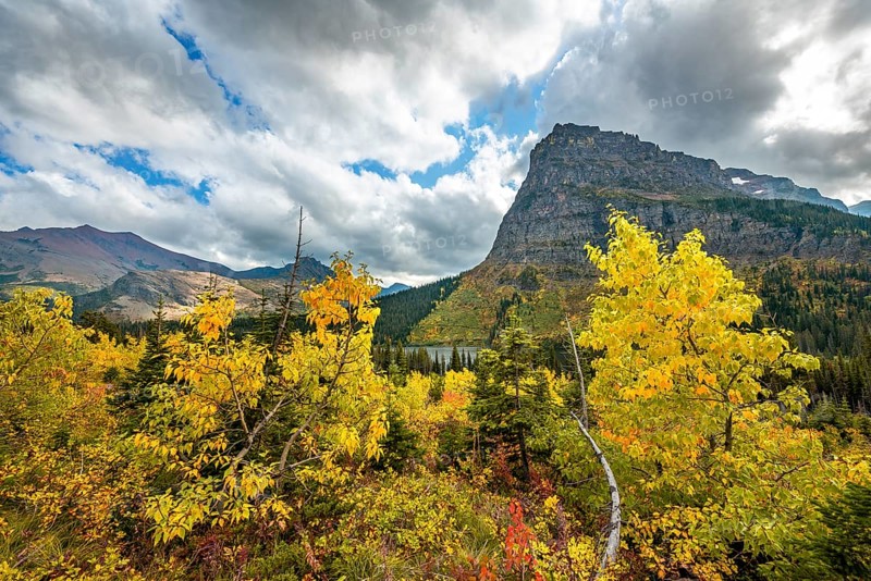 View of Sinopah Mountain with bushes in fall colors