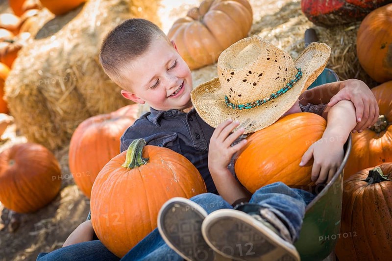 Two little boys playing in wheelbarrow at the pumpkin patch in a rustic country setting