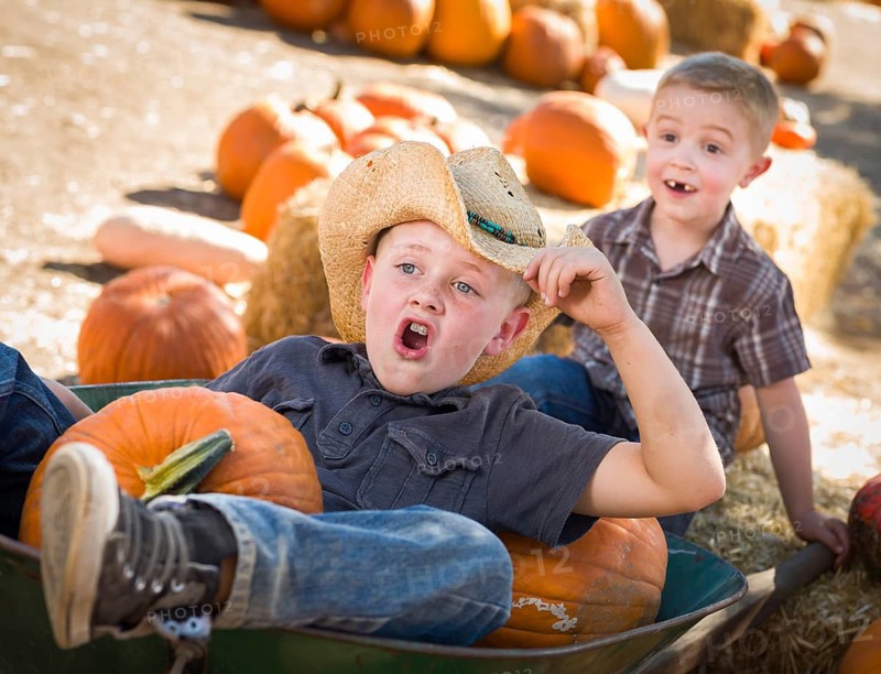 Two little boys playing in wheelbarrow at the pumpkin patch in a rustic country setting