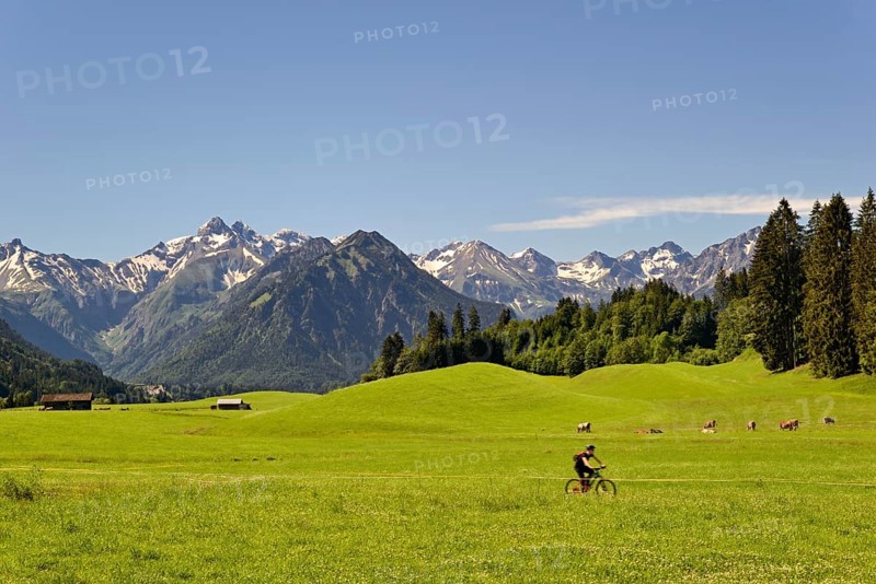 View from the meadows near the village Reichenbach to the mountain panorama of the Allgaeu Alps